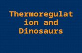Thermoregulation and Dinosaurs. Thermoregulation All animals have optimum body temperature. Biochemical functions are run by enzymes, which are only effective.