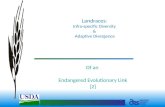1 Landraces : Infra-specific Diversity & Adaptive Divergence Of an Endangered Evolutionary Link [2]