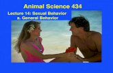 Lecture 14: Sexual Behavior a. General Behavior Animal Science 434.