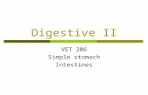 Digestive II VET 206 Simple stomach Intestines.  Food storage  Start/continue digestion of basic energy formin.