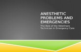 ANESTHETIC PROBLEMS AND EMERGENCIES The Role of the Veterinary Technician in Emergency Care.