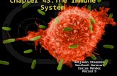 Chapter 43:The Immune System Benjamin Stanonik Santhosh Ganesan Isaias Mendez Period 5.