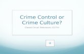 Crime Control or Crime Culture? Closed Circuit Televisions (CCTV)