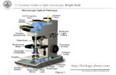 IPC Friedrich-Schiller-Universität Jena 1  2. Contrast modes in light microscopy: Bright field.