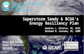 Bergen County Utilities Authority Bergen County Utilities Authority Little Ferry, NJ Superstorm Sandy & BCUA’s Energy Resiliency Plan November 6, 2013.