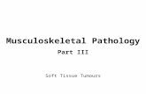 Musculoskeletal Pathology Part III Soft Tissue Tumours.