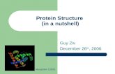 Protein Structure (in a nutshell) Guy Ziv December 26 th, 2006 Myoglobin (1958)