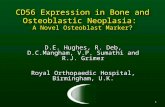 1 CD56 Expression in Bone and Osteoblastic Neoplasia: A Novel Osteoblast Marker? D.E. Hughes, R. Deb, D.C.Mangham, V.P. Sumathi and R.J. Grimer Royal Orthopaedic.