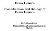 Brain Tumors Classification and Biology of Brain Tumors M.R.Ehsaei M.D Department of Neurosurgery of MUMS.