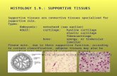 HISTOLOGY 1.9.: SUPPORTIVE TISSUES Supportive tissues are connective tissues specialized for supportive role. Types: Embryonic:notochord (see earlier)