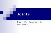Joints Part 2: Support & Movement. Joints Joints or Articulations: Locations were bones join together that allow for some degree of movement. Arthrology: