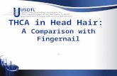 THCA in Head Hair: A Comparison with Fingernail. Conflict of Interest  Employees of USDTL Privately held company Commercial laboratory Sells hair testing.