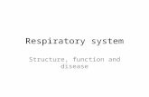Respiratory system Structure, function and disease.