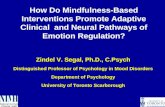 Zindel V. Segal, Ph.D., C.Psych Distinguished Professor of Psychology in Mood Disorders Department of Psychology University of Toronto Scarborough How.