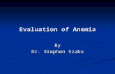 Evaluation of Anemia By Dr. Stephen Szabo. Relevant Lab Parameters Primary Complete Blood Count Complete Blood Count RBC count RBC count MCV MCV Hgb Hgb.