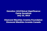 Genetics 101/Clinical Significance Camp Sunshine July 22, 2013 Diamond Blackfan Anemia Foundation Diamond Blackfan Anemia Canada.