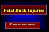 Fetal Birth Injuries 4 th year neonatal course. Definition The term birth injury is used to denote: avoidable and unavoidable mechanical, hypoxic and.