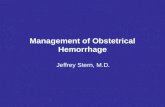 Management of Obstetrical Hemorrhage Jeffrey Stern, M.D.
