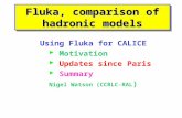 Fluka, comparison of hadronic models Using Fluka for CALICE  Motivation  Updates since Paris  Summary Nigel Watson (CCRLC-RAL )