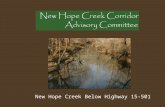 New Hope Creek Below Highway 15-501. Executive Summary The Durham County Inventory of Important Natural Areas, Plants and Wildlife North Carolina Natural.