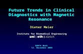 Dieter Meier Institute for Biomedical Engineering Future Trends in Clinical Diagnostics with Magnetic Resonance SNHTA Bern 12. November 2003.