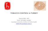 TOBACCO CONTROL in TURKEY Nazmi Bilir, MD Prof. of Public Health Hacettepe University Institiute of Public Health nbilir@hacettepe.edu.tr.