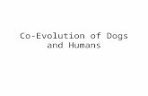 Co-Evolution of Dogs and Humans. What Co-Evolution Means Simply means the mutual evolutionary influence between species. Asks: Why did it benefit both.