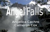 Angelica Cachro Cameron Cox Located in the Guayana Highlands Water free falls 2,421 feet to the river below, making it the tallest waterfall on earth.
