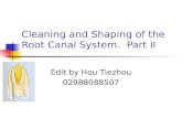 Cleaning and Shaping of the Root Canal System. Part II Edit by Hou Tiezhou 02988088507.