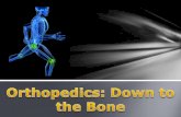Today we will be covering:  What is orthopedics?  What are bones?  How to classify bones  Fractures!  How to repair a fracture  A quick look at.