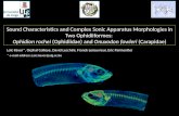 Sound Characteristics and Complex Sonic Apparatus Morphologies in Two Ophidiiformes: Ophidion rochei (Ophidiidae) and Onuxodon fowleri (Carapidae) Loïc.