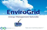 © 2011 REGEN Energy Inc EnviroGrid ™ Energy Management Naturally ™ Take your world by swarm™