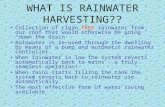 WHAT IS RAINWATER HARVESTING?? Collection of clean FREE rainwater from our roof that would otherwise be going “down the drain” Rainwater is re-used through.