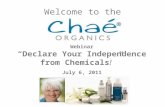 Welcome to the Webinar “Declare Your Independence from Chemicals! ” July 6, 2011.
