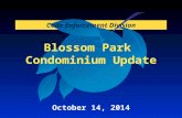 Blossom Park Condominium Update Code Enforcement Division October 14, 2014.