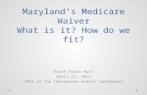 Maryland’s Medicare Waiver What is it? How do we fit? Gayle Olano Hurt April 21, 2015 CMSA of the Chesapeake Annual Conference.