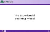 The Experiential Learning Model. The Experiential Learning Model OBJECTIVE Understand the Experiential Learning Model.