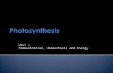 Photosynthesis Unit 1 Communication, Homeostasis and Energy.