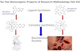 The Two Bioinorganic Projects of Research Methodology Fall 2012 Ligand Synthesis Complex Synthesis Biochemical Studies Tetraphenyl porphyrin Pteridinyl.