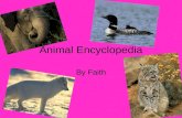 Animal Encyclopedia By Faith. Table of Contents Black footed ferret Caroline Wren Bengal Tiger African Wild Dog California sea lion Blue crab Flying snake.