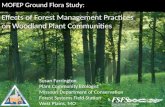 MOFEP Ground Flora Study: Effects of Forest Management Practices on Woodland Plant Communities Susan Farrington Plant Community Ecologist Missouri Department.
