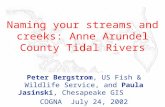 Naming your streams and creeks: Anne Arundel County Tidal Rivers Peter Bergstrom, US Fish & Wildlife Service, and Paula Jasinski, Chesapeake GIS COGNA.