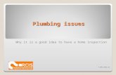Plumbing issues Why it is a good idea to have a home inspection © 2011 RCIS LLC.