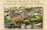 American Woodcock Singing-ground Survey Observer Training Tool.