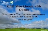 CAP Workbook v6b Demo Strategy effectiveness measures in the CAP Excel tool… … and more! Warren Lockwood - Conservation Data & Info Systems.