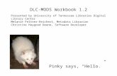 DLC-MODS Workbook 1.2 Pinky says, “Hello.” Presented by University of Tennessee Libraries Digital Library Center Melanie Feltner-Reichert, Metadata Librarian.