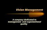 Vision Management A company dedicated to management and organizational quality.