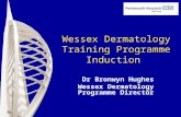 Wessex Dermatology Training Programme Induction Dr Bronwyn Hughes Wessex Dermatology Programme Director.