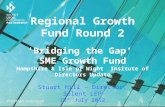 Regional Growth Fund Round 2 ‘Bridging the Gap’ SME Growth Fund Hampshire & Isle of Wight Insitute of Directors Update Stuart Hill – Director, Solent LEP.