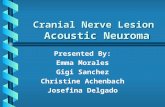 Cranial Nerve Lesion Acoustic Neuroma Presented By: Emma Morales Gigi Sanchez Christine Achenbach Josefina Delgado.